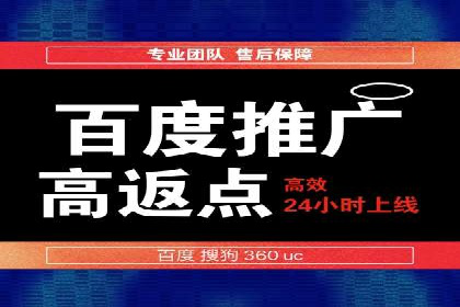 行业领先企业的SEM代理案例剖析